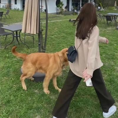 诱惑的陷阱